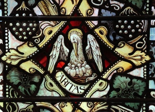 Close up of the depiction of 'Caritas' (charitas); above the wording a pelican is feeding her chicks; surrounding this picture a vine bearing fruit