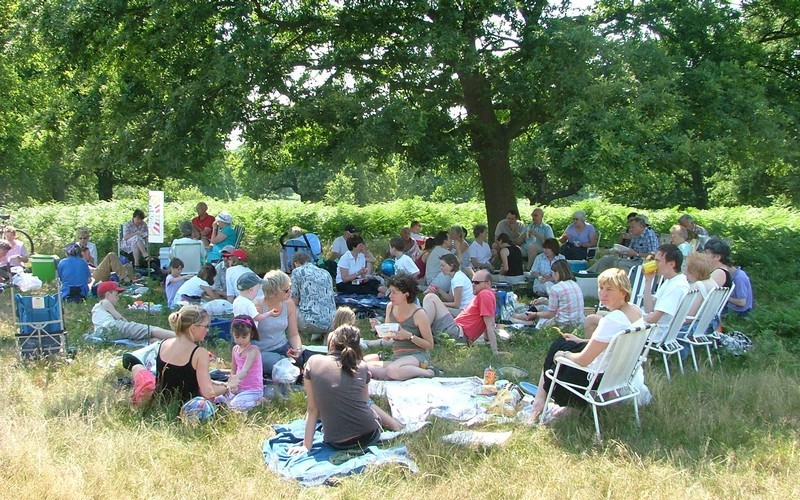 Photo of the picnic in Richmond Park with CCNM members seated on the ground or on picnic chairs under the shade of a tree